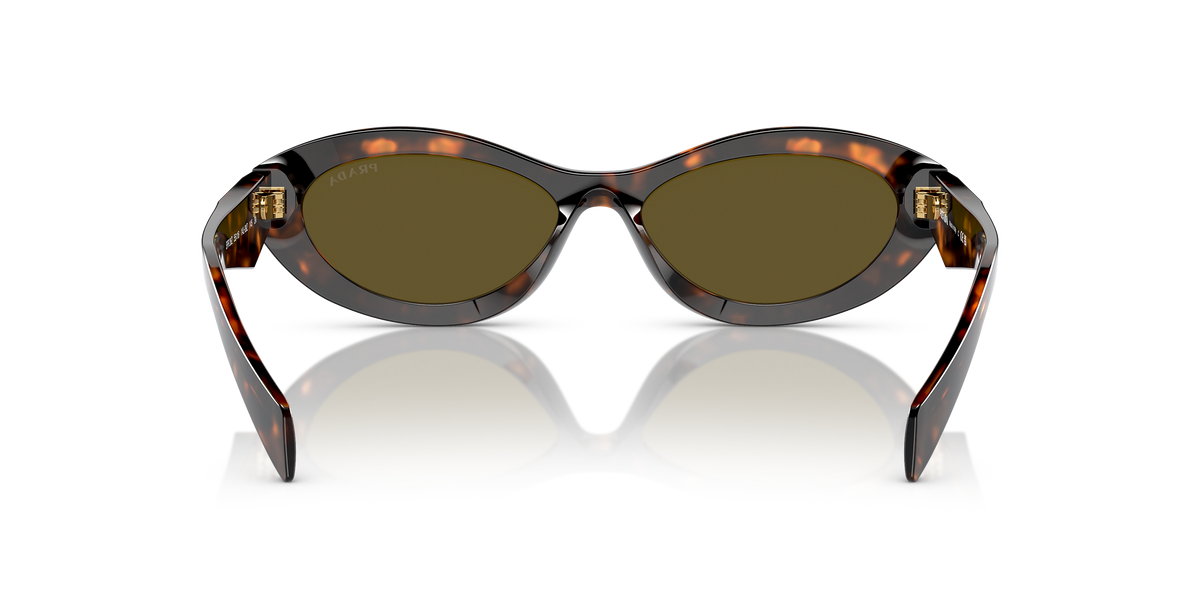 PR 26ZS Tortoise/Dark Brown M