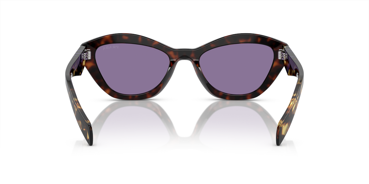 PR A02S Tortoise/Violet Mirror Internal Silver S