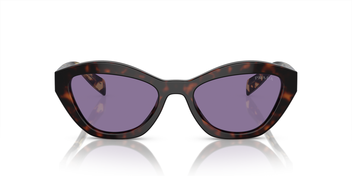 PR A02S Tortoise/Violet Mirror Internal Silver S