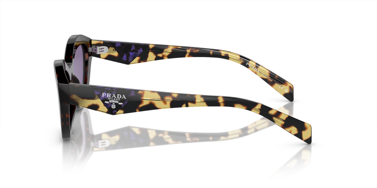 PR A02S Tortoise/Violet Mirror Internal Silver S
