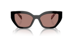 PR A09S Brown/Light Brown M