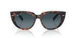 Ray-Ban RB2286 Doreen