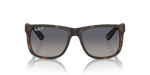 RB4165 Justin Classic Ray-Ban Tortoise/Blue S