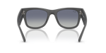 RB4840S Mega Wayfarer Liteforce Ray-Ban Grey M