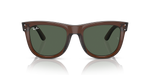 RBR0502S Wayfarer Reverse Ray-Ban Brown/Green S