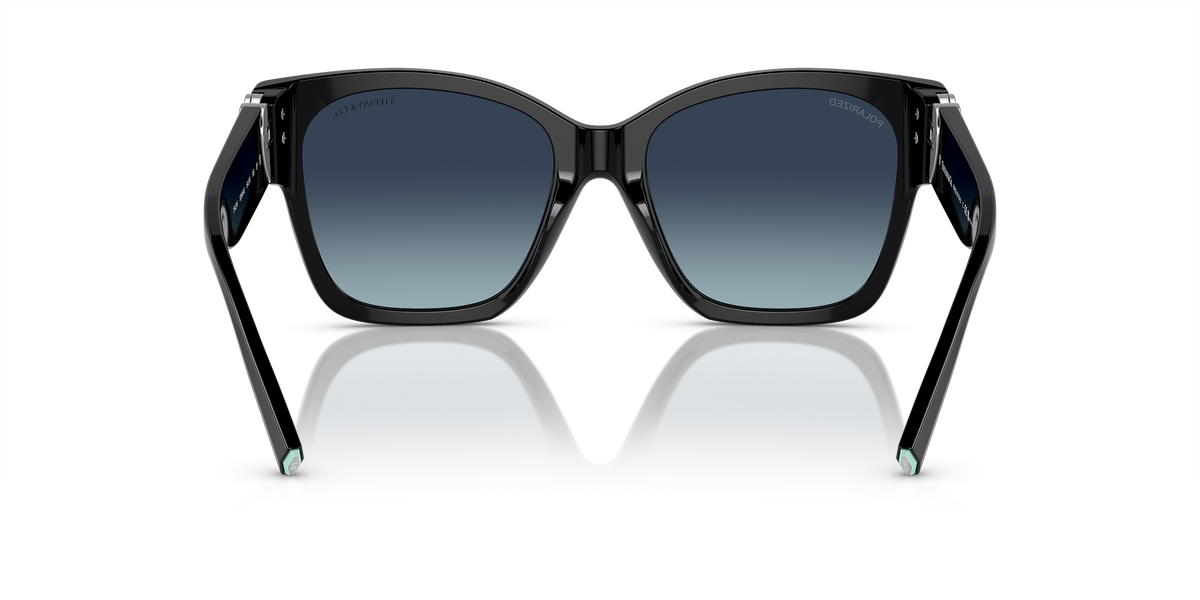 TF4216 Black/Azure Gradient Dark Blue Polar/Polarized XL