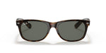 RB2132 Tortoise/G-15 Green/Polarized M