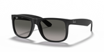 RB4165 Black/Grey Gradient STD