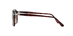 PO9649S Brown/Green Standard