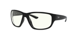 RB4300 Black/Clear STD
