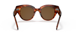 RB2192 Tortoise/Polarized Brown Classic B-15/Polarized STD