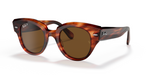 RB2192 Tortoise/Polarized Brown Classic B-15/Polarized STD
