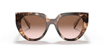PR 14WS Tortoise/Brown Gradient M