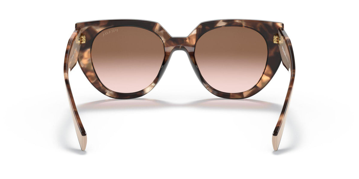 PR 14WS Tortoise/Brown Gradient M