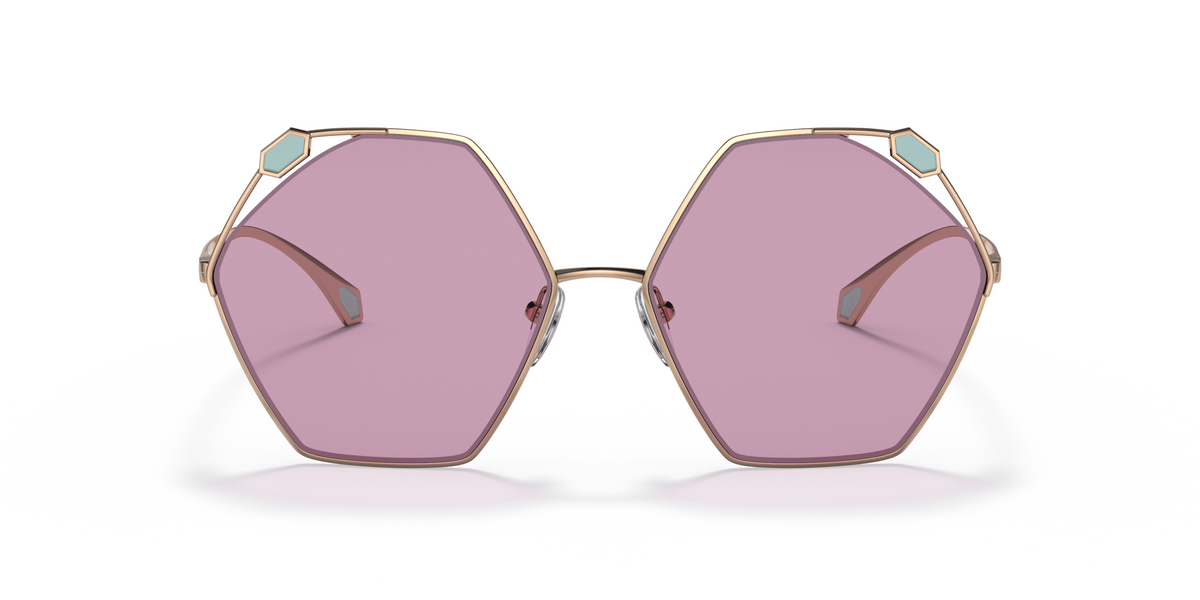 BV6160 Pink/Violet L
