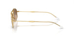 RB3719 Gold/Light Brown M