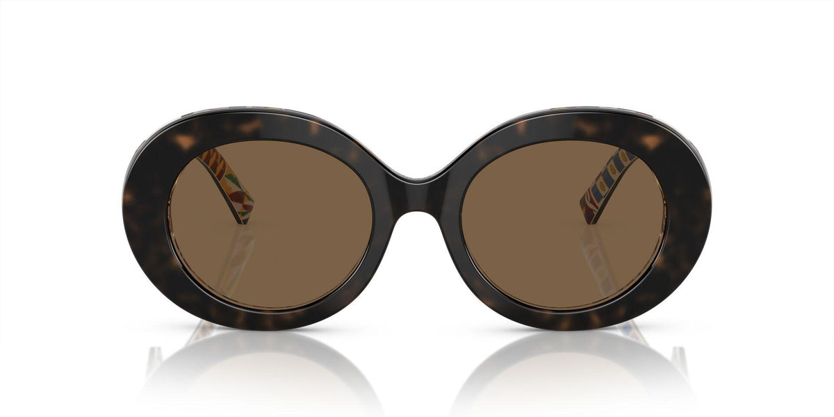 DG4448 Tortoise/Dark Brown S