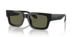 AR8184U Black/Polarized Green/Polarized XL