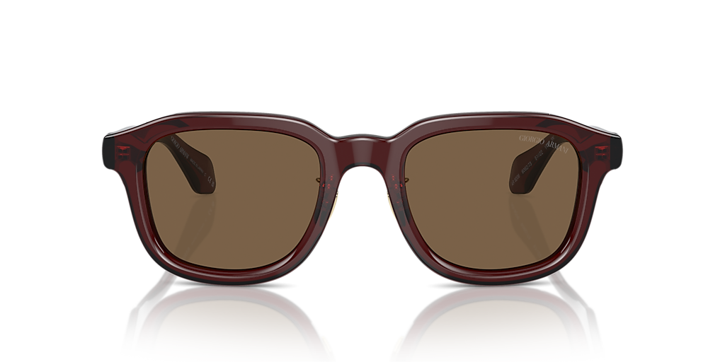 AR8206 Giorgio Armani Brown L