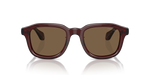 AR8206 Giorgio Armani Brown L