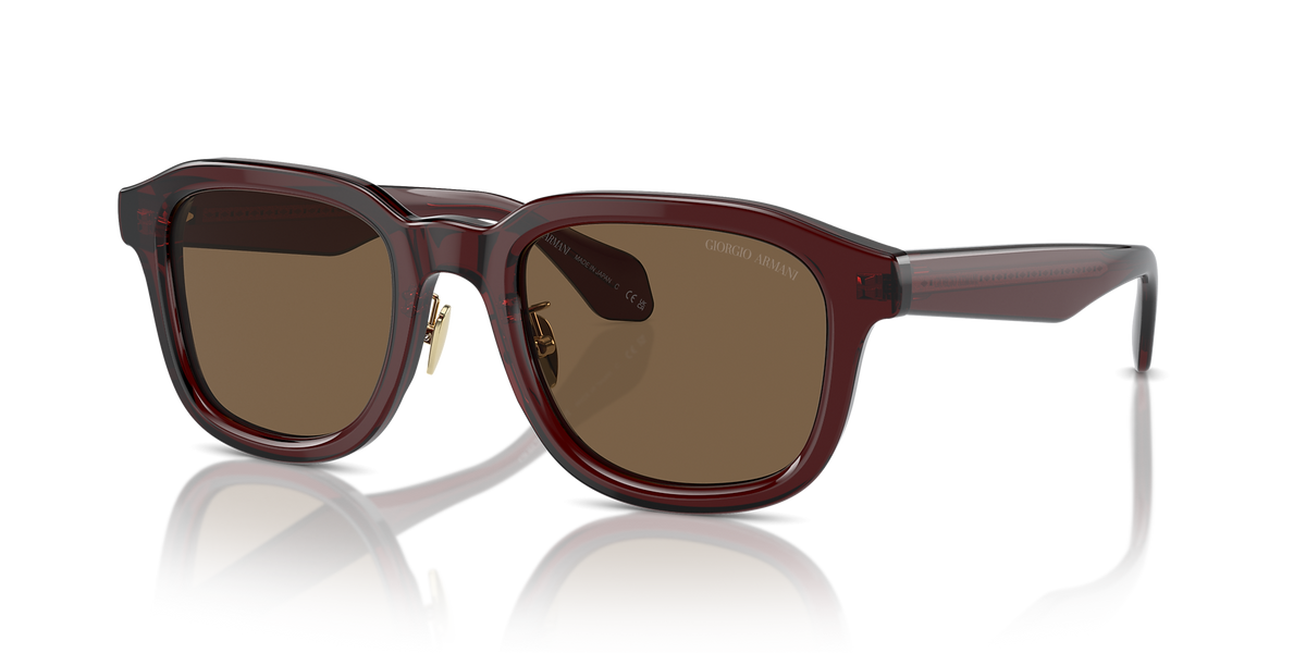AR8206 Giorgio Armani Brown L