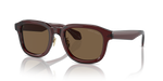 AR8206 Giorgio Armani Brown L