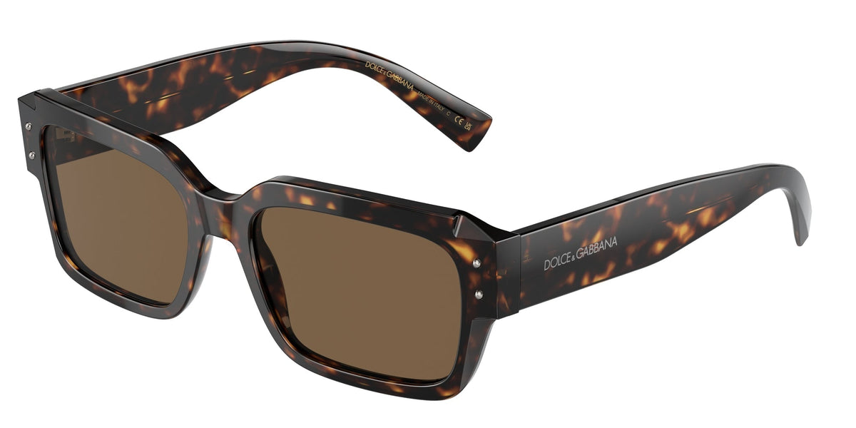 DG4460 Dolce & Gabbana Havana/Brown L