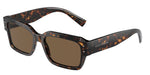 DG4460 Dolce & Gabbana Havana/Brown L