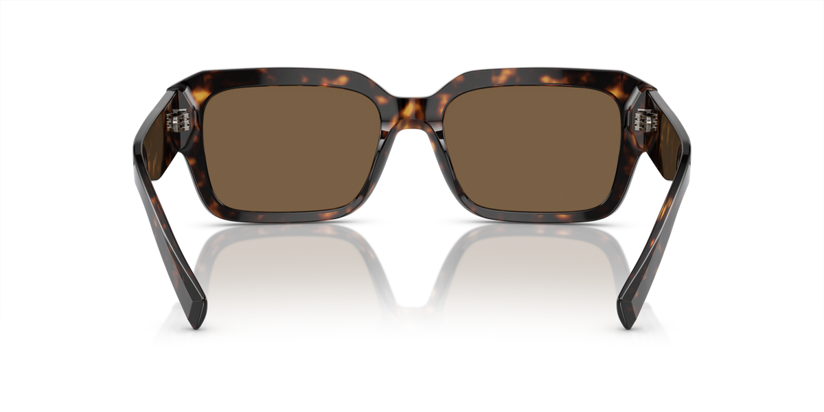 DG4460 Dolce & Gabbana Havana/Brown L