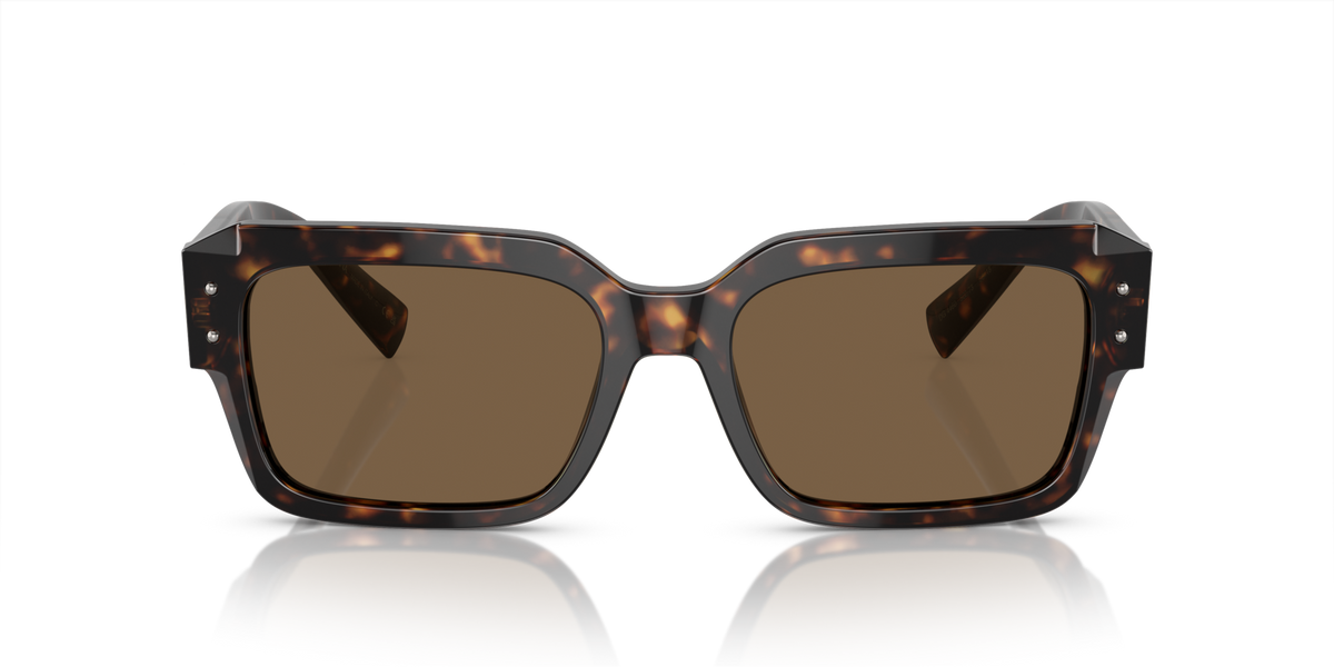DG4460 Dolce & Gabbana Havana/Brown L