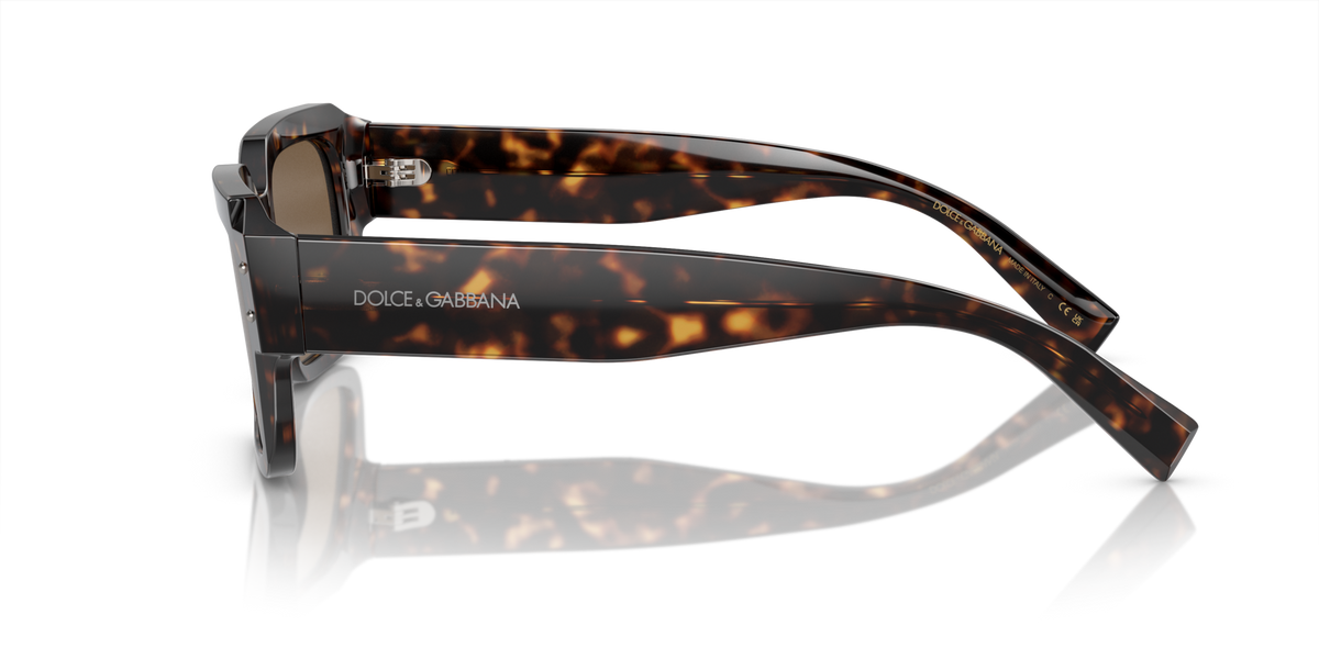 DG4460 Dolce & Gabbana Havana/Brown L