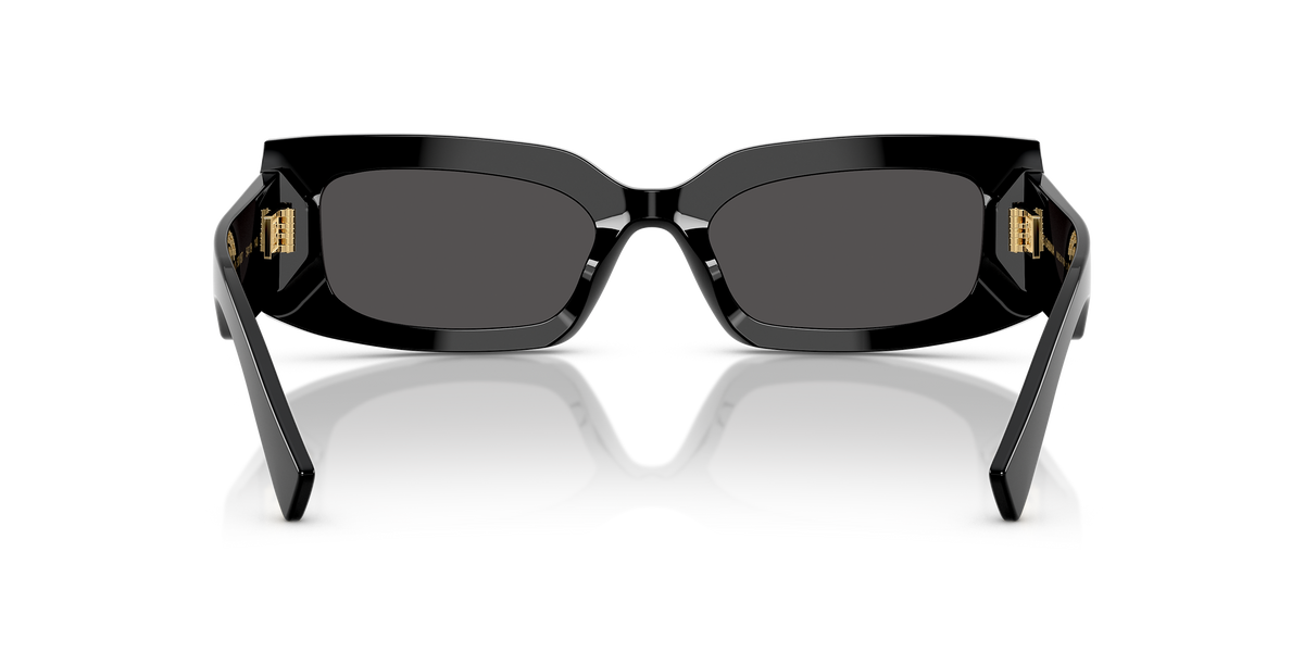 Dolce&Gabbana DG4479