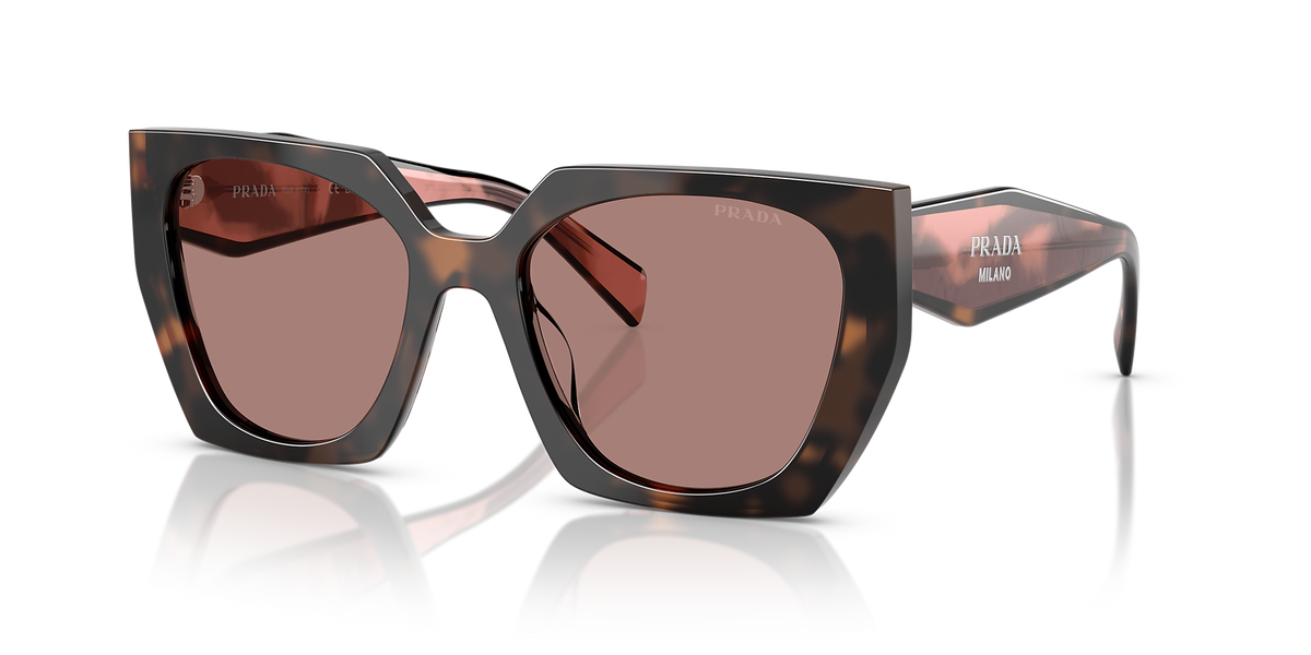 PR 15WS Havana/Light Brown M
