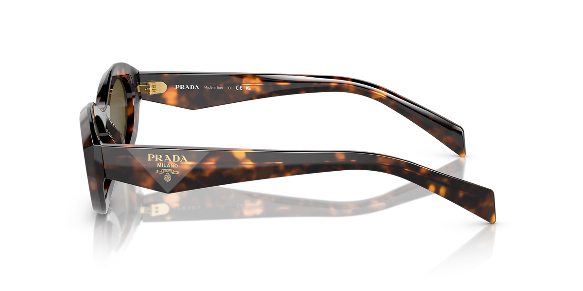 PR 26ZS Tortoise/Dark Brown M