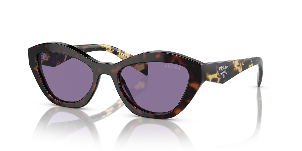 PR A02S Tortoise/Violet Mirror Internal Silver S