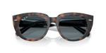 Ray-Ban RB2286 Doreen