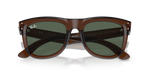 RBR0502S Wayfarer Reverse Ray-Ban Brown/Green S