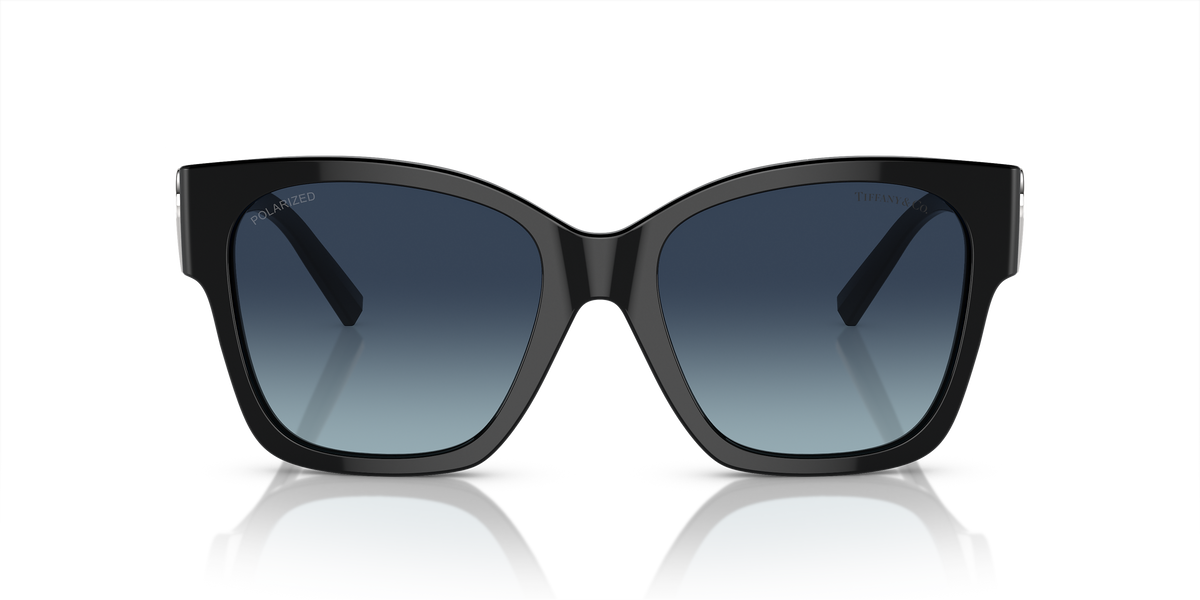 TF4216 Black/Azure Gradient Dark Blue Polar/Polarized XL