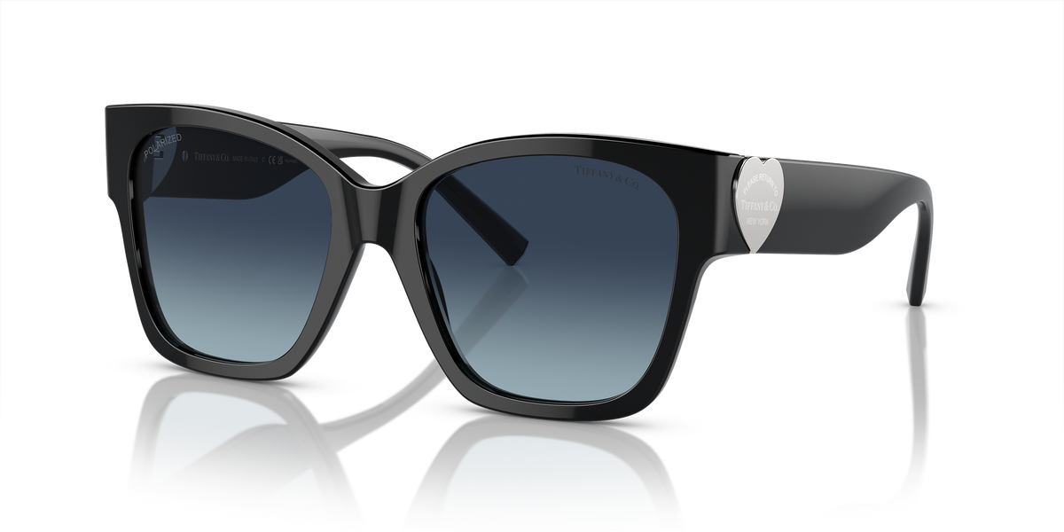 TF4216 Black/Azure Gradient Dark Blue Polar/Polarized XL