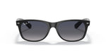 RB2132 Black/Blue/Grey/Polarized S