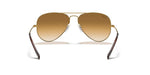 RB3025 Gold/Light Brown XXL