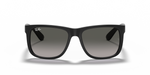 RB4165 Black/Grey Gradient STD