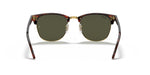 RB3016 Tortoise/G-15 Green M