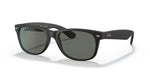 RB2132 Black/Green/Polarized M