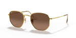 RB3548N Gold/Brown M