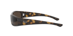 RB4335 Tortoise/Dark Brown STD