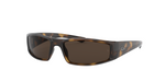 RB4335 Tortoise/Dark Brown STD