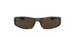 RB4335 Tortoise/Dark Brown STD