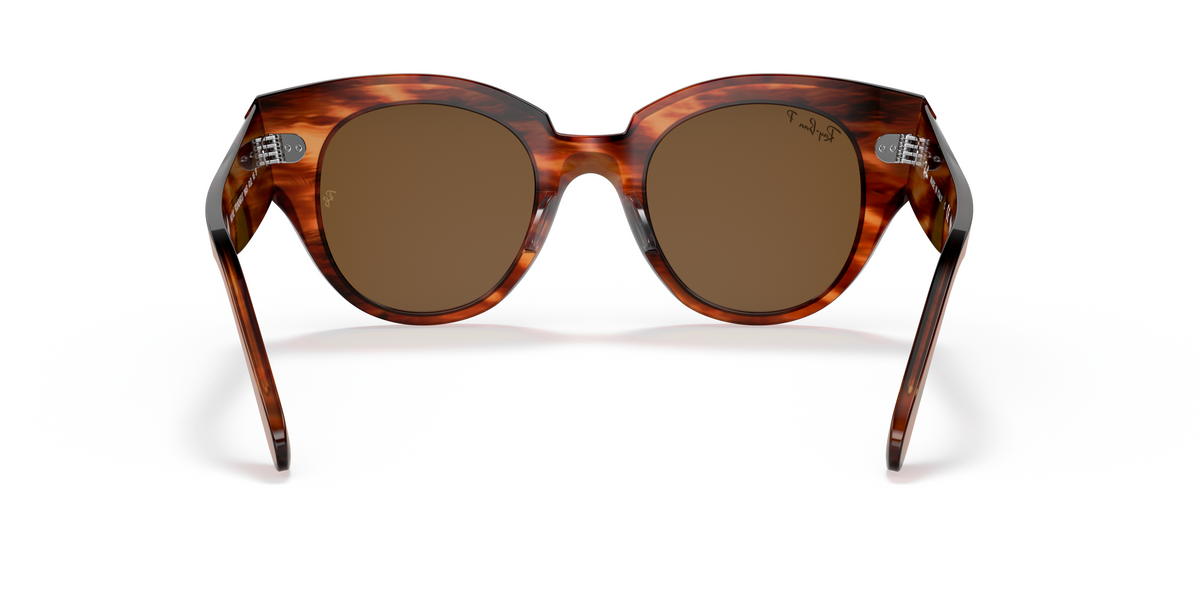 RB2192 Tortoise/Polarized Brown Classic B-15/Polarized STD