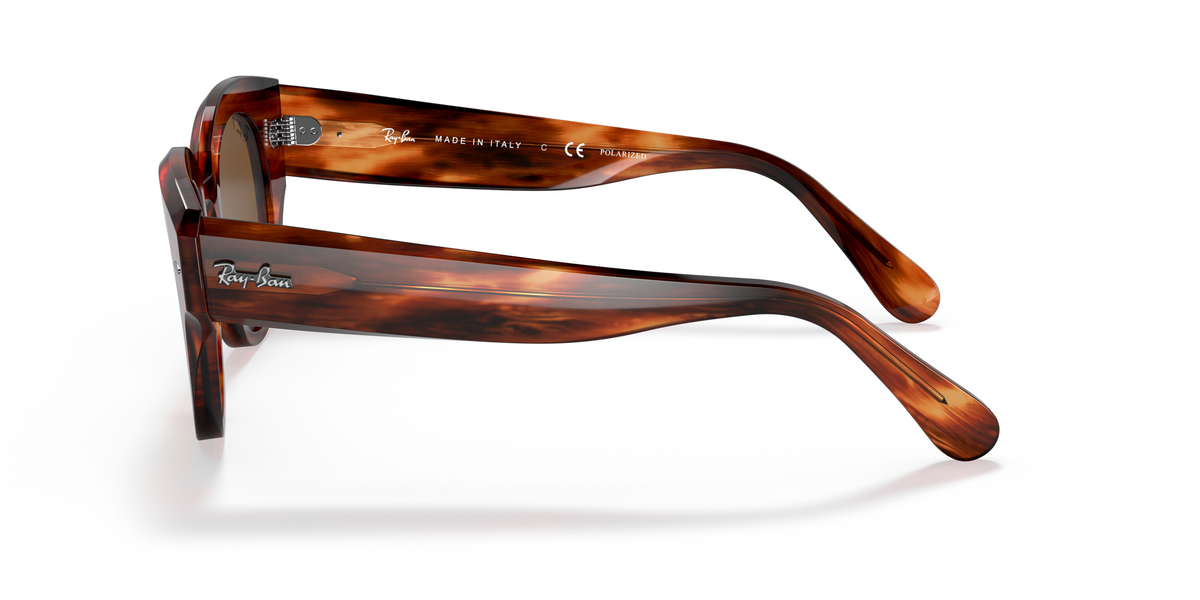 RB2192 Tortoise/Polarized Brown Classic B-15/Polarized STD